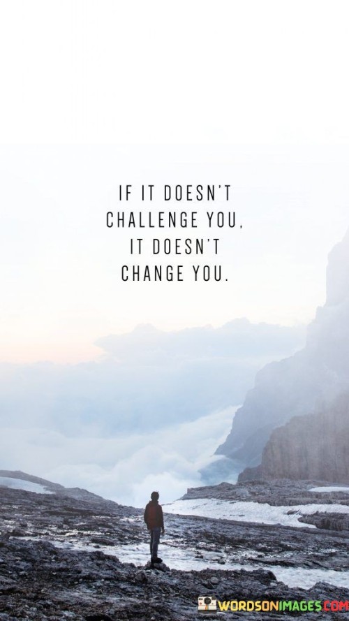 If It Doesn't Chalenge You It Doesn't Change You Quotes