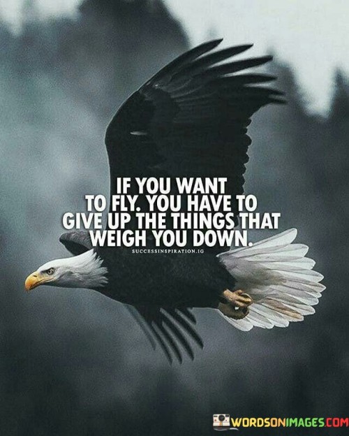 If You Want To Fly You Have To Give Up The Things That Weigh You Down Quotes