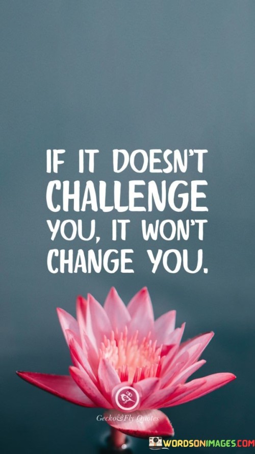 If It Doesn't Challenge You It Wont Change You Quote