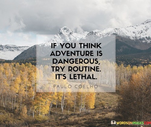 If You Think Adventure Is Dangerous Try Routine It's Lethal Quote