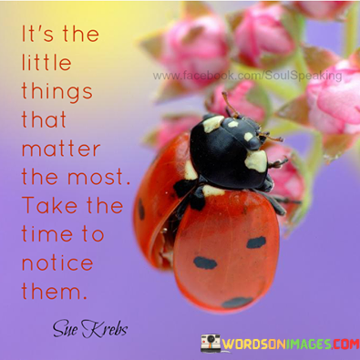 Its-The-Little-Things-That-Matter-The-Most-Take-The-Time-To-Notice-Them-Quote