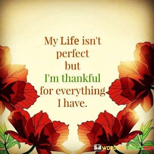 My Life Isn't Perfect But I'm Thankful For Everything I Have Quote