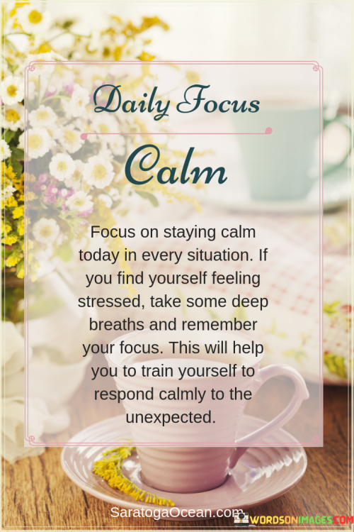 Focus-On-Staying-Calm-Today-In-Every-Situation-Quotes.png