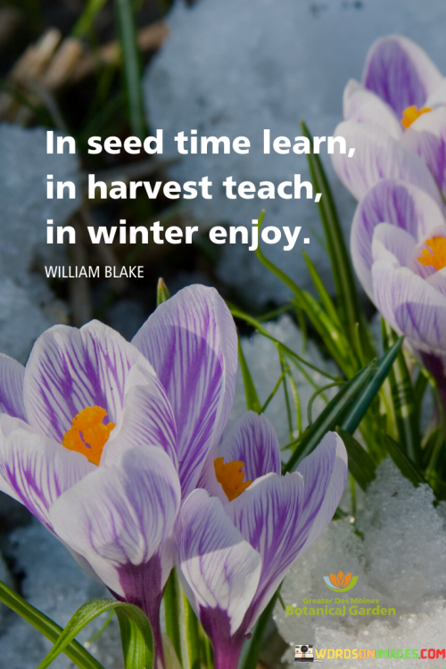 In-Seed-Time-Learn-In-Harvest-Teach-Quotes