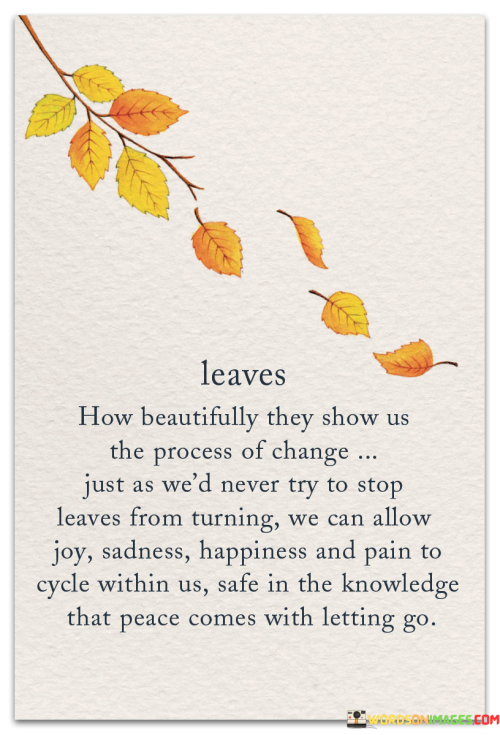 Leaves-How-Beautifully-They-Show-Us-The-Process-Of-Change-Quotes.png