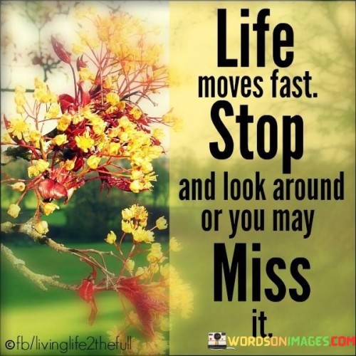 Life Moves Fast Stop And Look Around Quotes