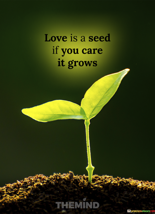 Love-Is-A-Seed-If-You-Care-It-Grows-Quotes.png