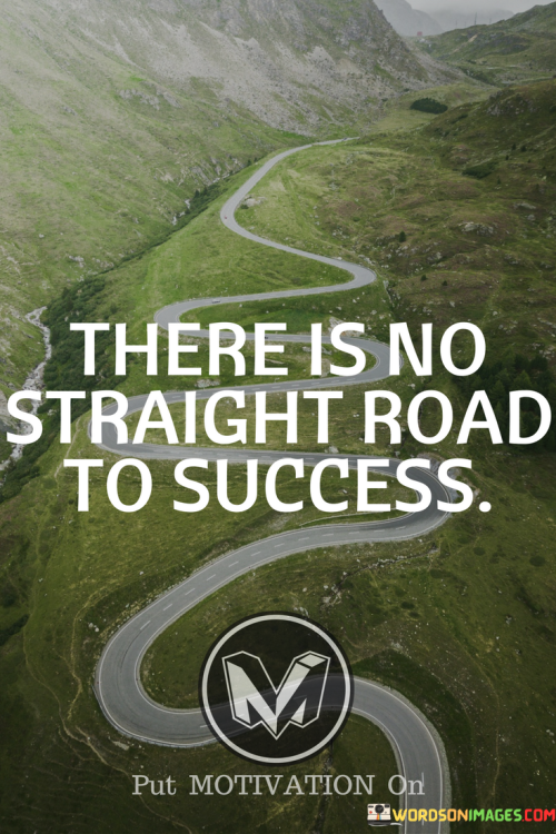 There-Is-No-Straight-Road-To-Success-Quotes.png