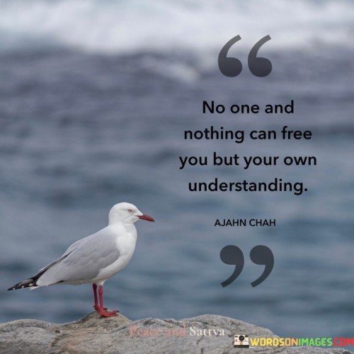 This quote emphasizes self-reliance and personal empowerment. It suggests that true liberation comes from within, not relying on external factors. By understanding this, you embrace the idea that your own choices and mindset determine your freedom.

Empower yourself. It's like holding the key to your own cell. By adopting this mindset, you take control of your life's direction, recognizing that your choices and actions play a pivotal role in your sense of freedom and autonomy.

Internal liberation matters. This quote underscores the significance of inner strength. It's akin to unlocking your own potential. By internalizing this concept, you acknowledge that no external circumstance or individual can grant you true freedom unless you first free yourself from mental limitations and self-imposed restrictions.