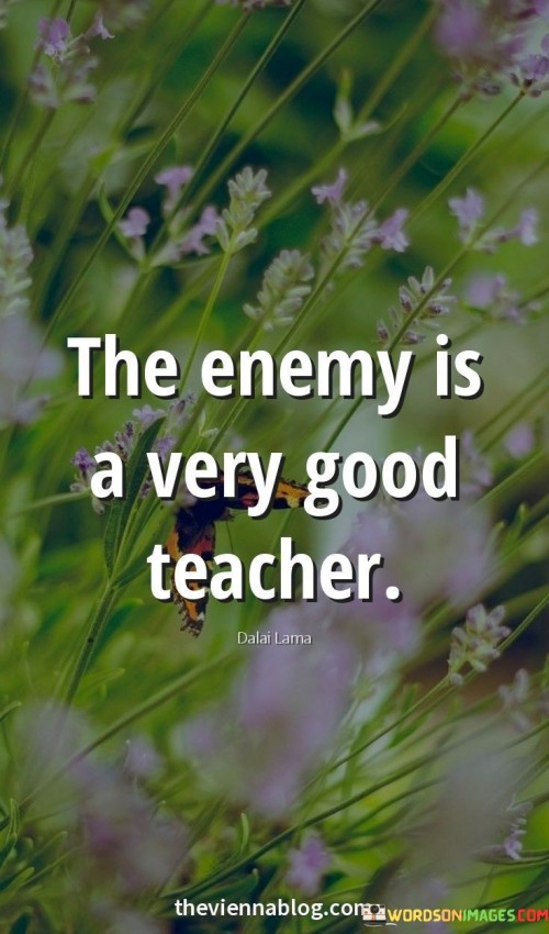 The-Enemy-Is-Very-Good-Teacher-Quotes.jpeg