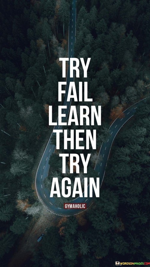 This quote conveys a valuable life lesson. It suggests that when you attempt something but fail, it's an opportunity to learn and improve. Like a continuous cycle, it emphasizes the importance of persistence and growth through experience.

It advises viewing failure as a chance for education. Just as a student learns from mistakes, failure is a teacher. It's a reminder that setbacks can lead to progress and ultimately success.

The quote underscores the idea of a continuous journey of improvement. It's a call to keep trying and evolving. By embracing the cycle of trying, failing, learning, and trying again, you can steadily advance and achieve your goals.