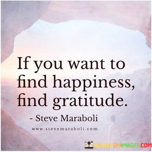 If You Want To Find Happiness Find Gratitude Quotes