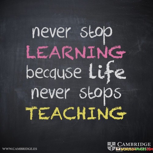 Never Stop Learning Because Life Never Stops Teaching Quotes