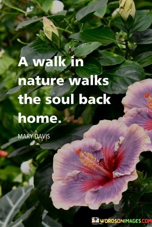 This quote means that being in nature can bring calmness to our inner self. When we're surrounded by nature, our soul feels a sense of belonging and peace.

Nature has a way of reconnecting us with who we are. It helps us escape the busyness and find a tranquil home within ourselves.

Walking in nature is like a journey back to where our soul finds solace and comfort. It's a reminder of our roots and the simplicity that brings us contentment.