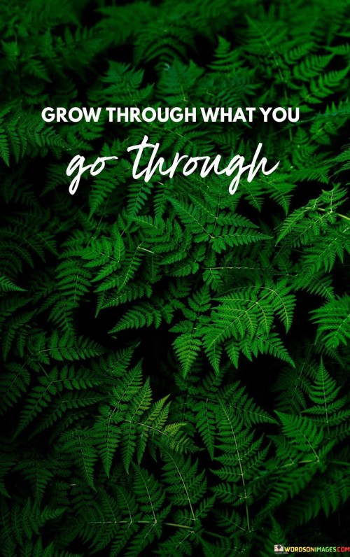 Grow-Through-What-You-Go-Through-Quotes.jpeg