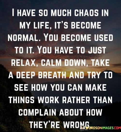 I Have So Much Chaos In My Life Quotes