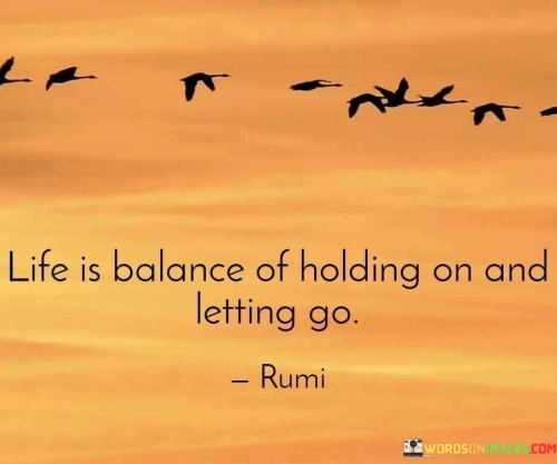 Life-Is-Balance-Of-Holding-On-And-Letting-Go-Quotes.jpeg