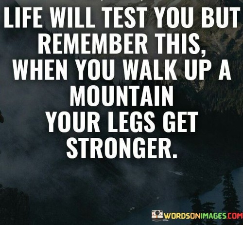 Life Will Test You But Remember This Quotes