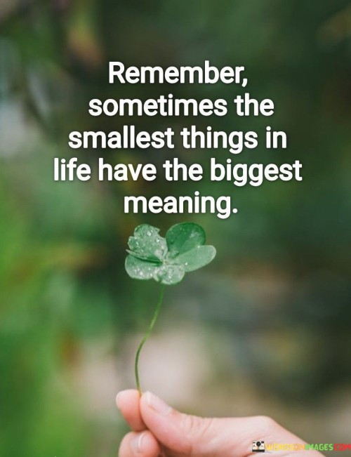 Remember-Sometimes-The-Smallest-Things-In-Life-Quotes.jpeg
