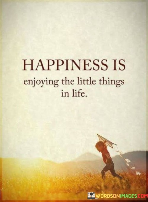 Happiness Is Enjoying The Little Things In Life Quotes