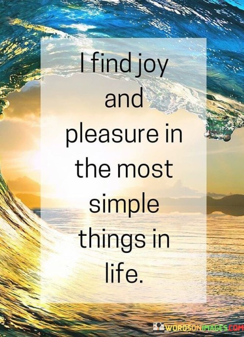 I Find Hoy And Pleasure In The Most Simple Things In Life Quote