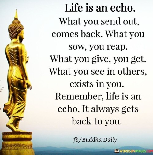 Life In An Echo Quote