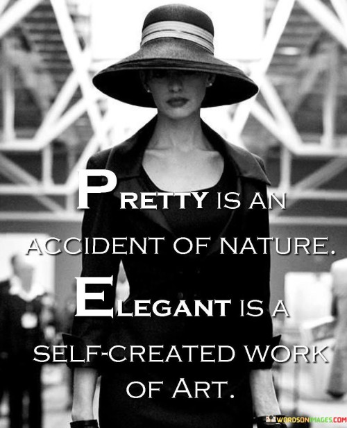 Pretty Is An Accident Of Nature Elegant Quotes