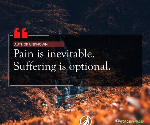 Pain Is Inevitable Suffereing Is Optional Quote