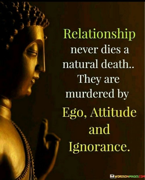 Relationship Never Dies A Natural Death Quotes