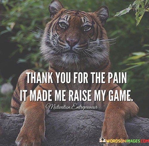 Thank You For The Pain Quote
