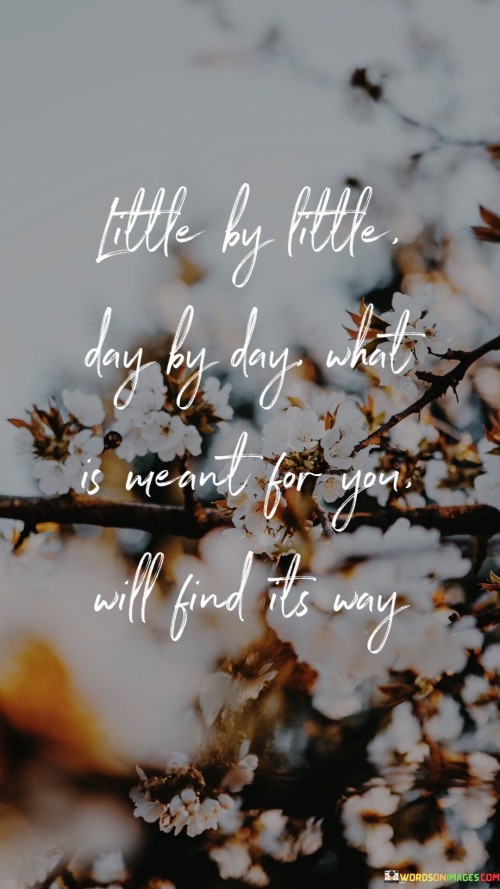 Little By Little Day By Day What Is Meant For You Will Find Its Way Quotes