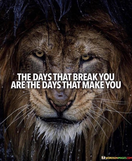 The Days That Break You Are The Days That Make You Quotes