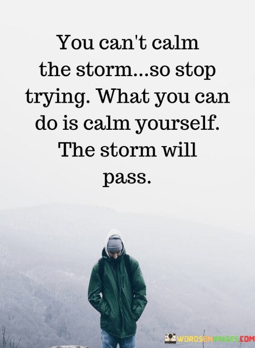 You Can't Calm The Storm So Stop Trying Quotes