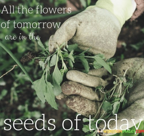 All The Flowers Of Tomorrow Are In The Seeds Of Today Quotes