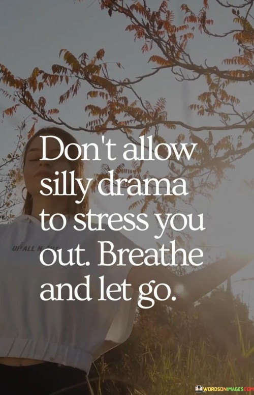 Dont-Allow-Silly-Drama-To-Stress-You-Out-Quotes.jpeg