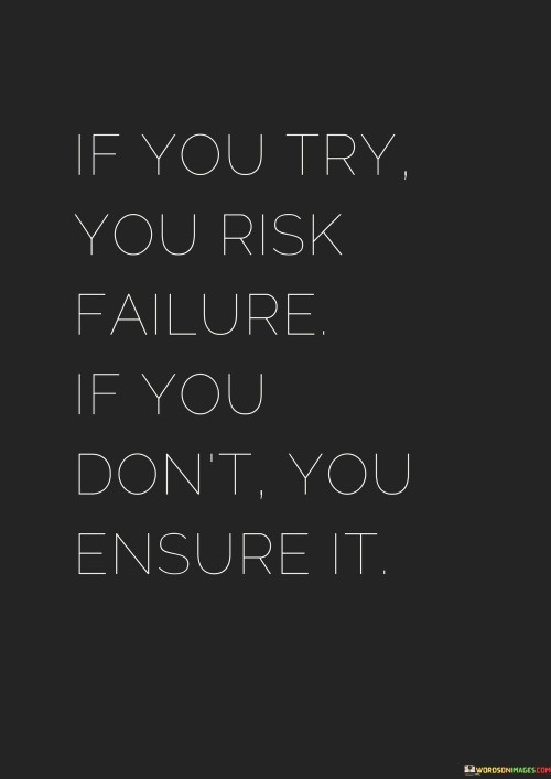 If-You-Try-You-Risk-Failure-Quotes.jpeg