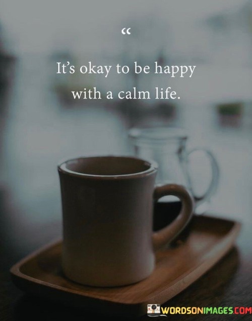 It's Ok To Be Happy With A Calm Life Quotes