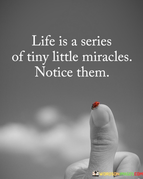 Life-Is-A-Series-Of-Tiny-Little-Miracles-Notice-Them-Quote.jpeg