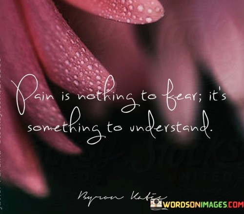 Pain Is Nothing To Fear Its Something To Understand Quotes