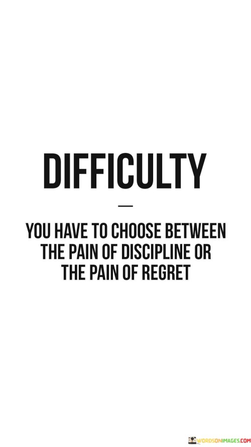 You Have To Choose Between The Pain And Discipline Quotes