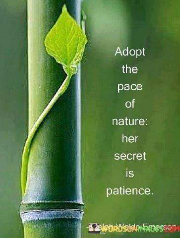 The quote highlights the wisdom found in the natural world. "Adapt the pace of nature" implies aligning with nature's rhythms. "Her secret is patience" signifies the importance of time and gradual progress. The quote conveys that nature's ability to evolve and flourish lies in its patient, deliberate processes.

The quote underscores the value of patience in life. It reflects the idea that nature's enduring beauty and resilience come from its unhurried, methodical approach to growth and change. "Secret is patience" suggests that patience is a key to unlocking the full potential of life's endeavors, emphasizing the virtue of taking things slowly when necessary.

In essence, the quote speaks to the importance of embracing patience as a guiding principle. It conveys that nature's timeless wisdom lies in its deliberate pace and gradual transformations, and humans can learn valuable lessons from this approach in various aspects of life, from personal growth to environmental conservation.
