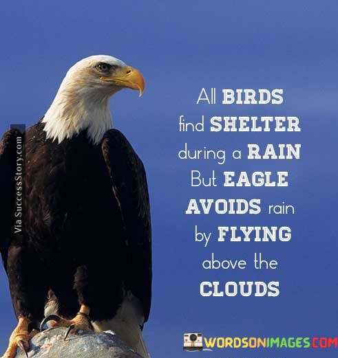 All-Birds-Find-Shelter-During-A-Rain-But-Eagle-Quotes.jpeg