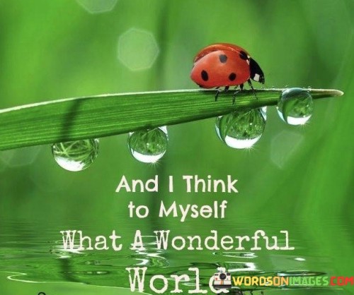 And-I-Think-To-Myself-What-A-Wonderful-World-Quotes.jpeg