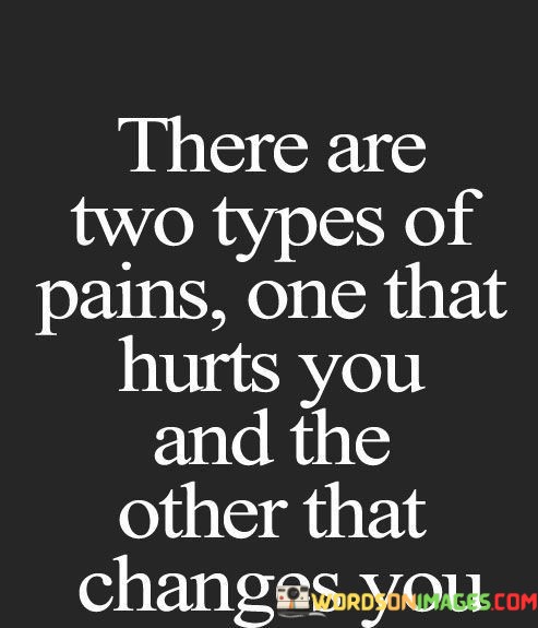 There-Are-Two-Types-Of-Pains-One-That-Quotes.jpeg