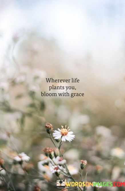 Wherever-Life-Plants-You-Bloom-Quotes.jpeg