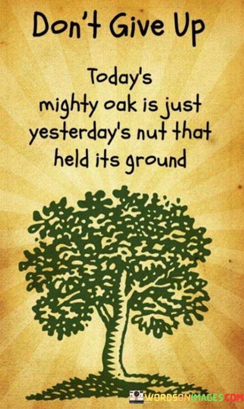Dont-Give-Up-Todays-Mighty-Oak-Is-Just-Quotes.jpeg