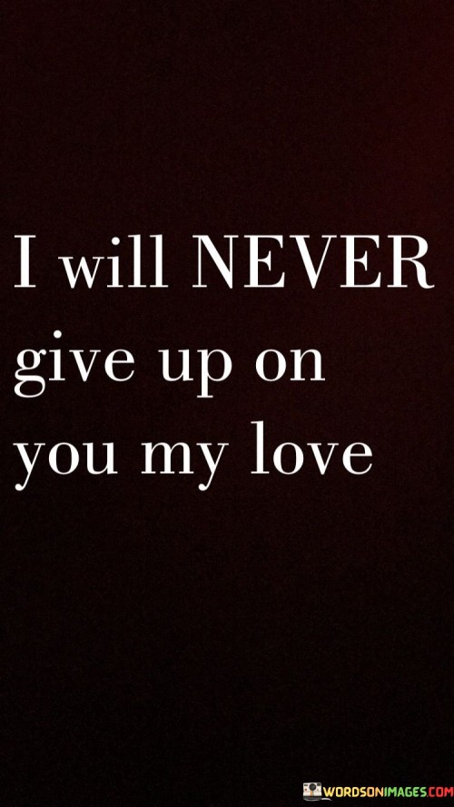 I-Will-Never-Give-Up-On-You-My-Love-Quotes.jpeg