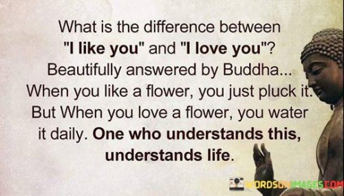 What Is The Diffrence Between I Like You Quotes