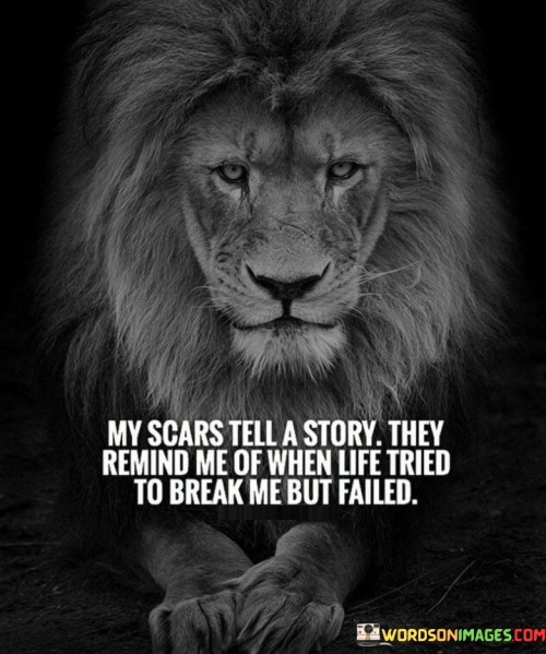 My-Scars-Tell-A-Story-They-Remind-Me-Of-When-Life-Tried-Quotes