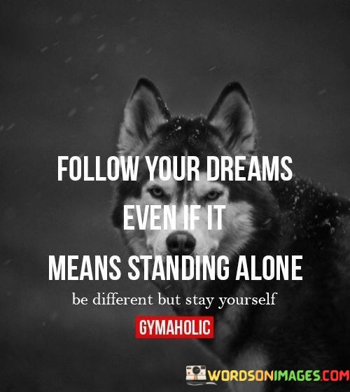 Follow-Your-Dreams-Even-If-It-Means-Standing-Alone-Quotes.jpeg